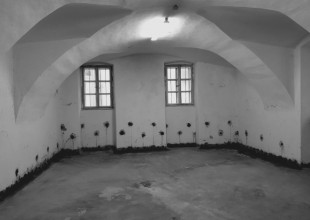 Prenova starega skladišča - Ljubljana